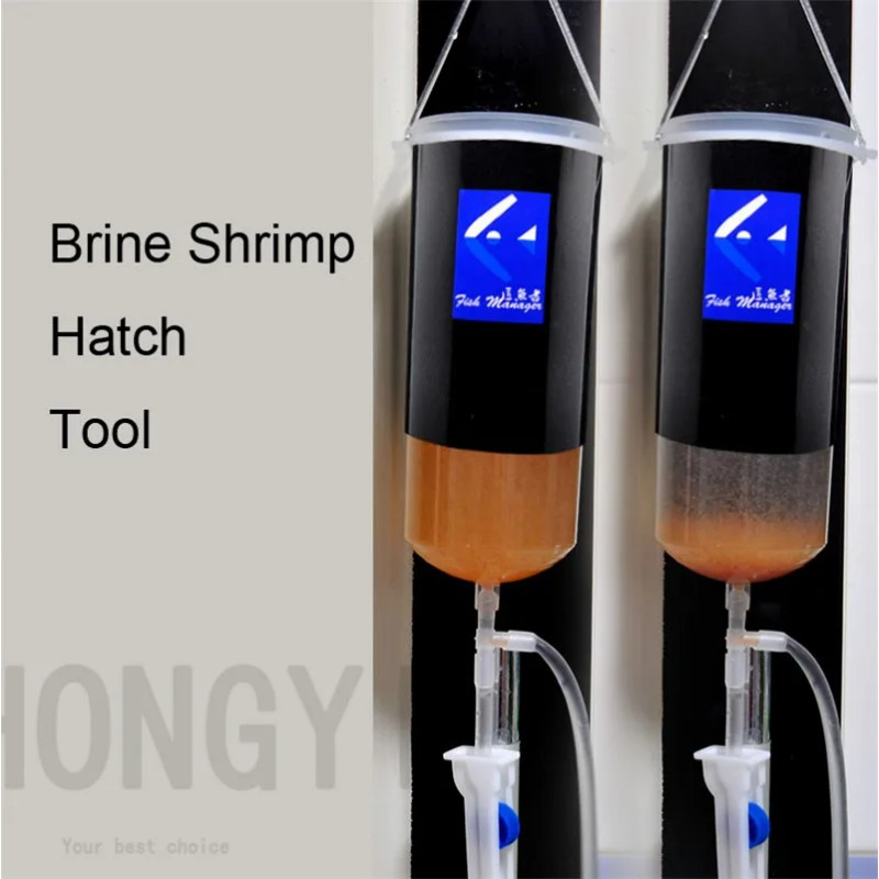 Baby Food Shrimp - Fairy shrimp egg artemia alive easy