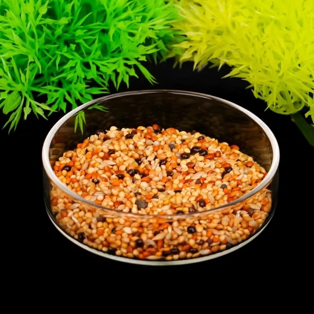 Glass Aquarium Feeding Bowl Du - Baby Food Shrimp recension och pris