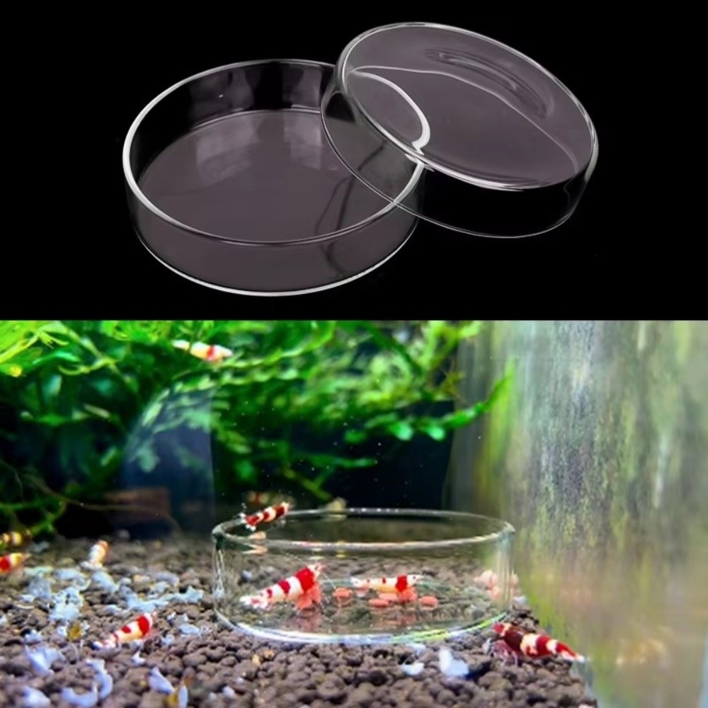 Glass Aquarium Feeding Bowl Du - Baby Food Shrimp recension och pris