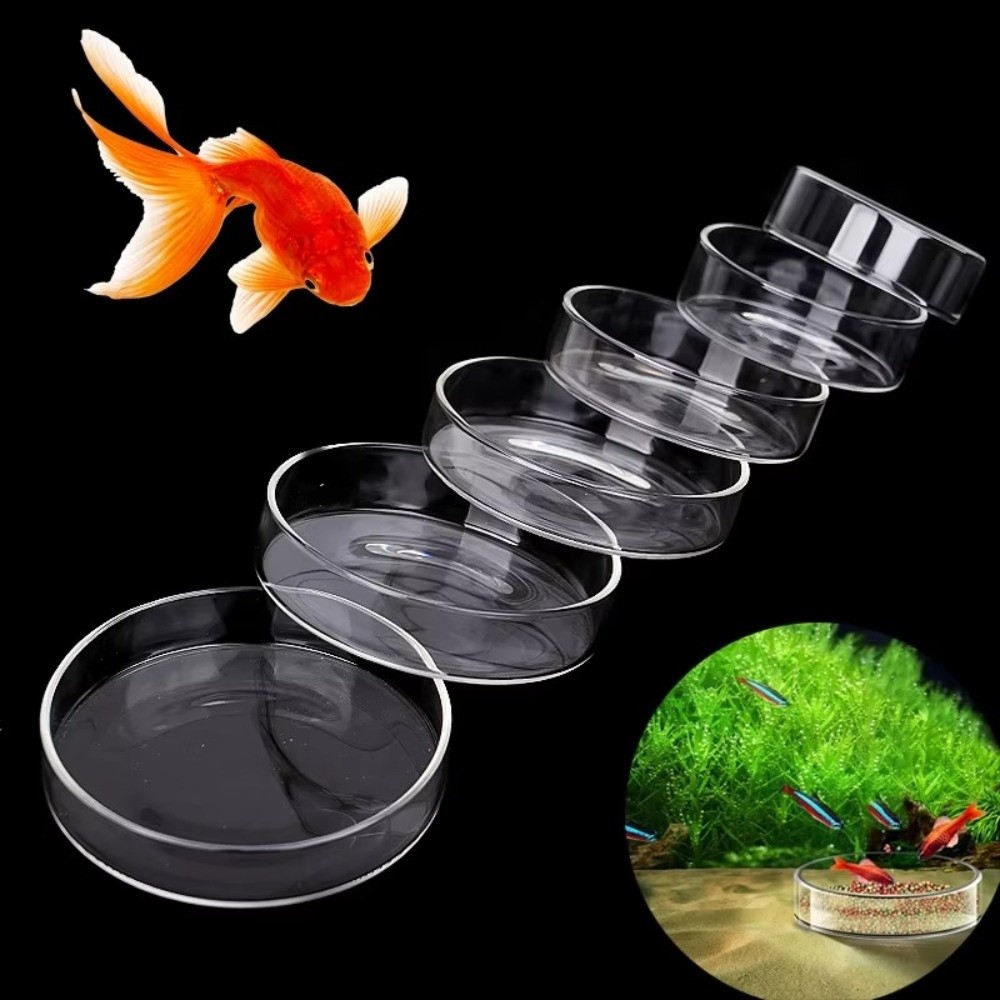 Glass Aquarium Feeding Bowl Du - Baby Food Shrimp recension och pris