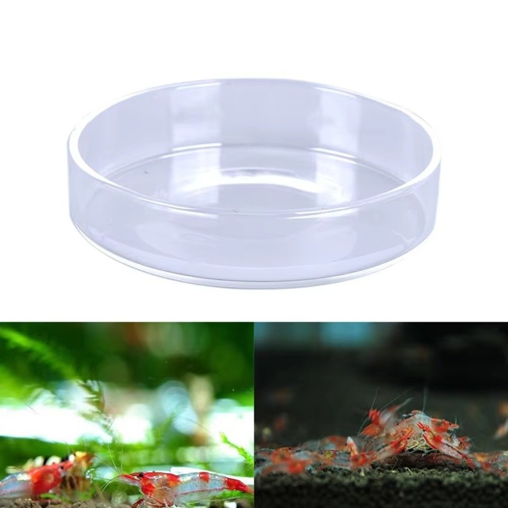 Glass Aquarium Feeding Bowl Du - Baby Food Shrimp recension och pris